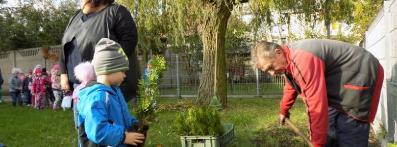 Zdjęcie główne aktualności ŚWIATOWY DZIEŃ DRZEWA