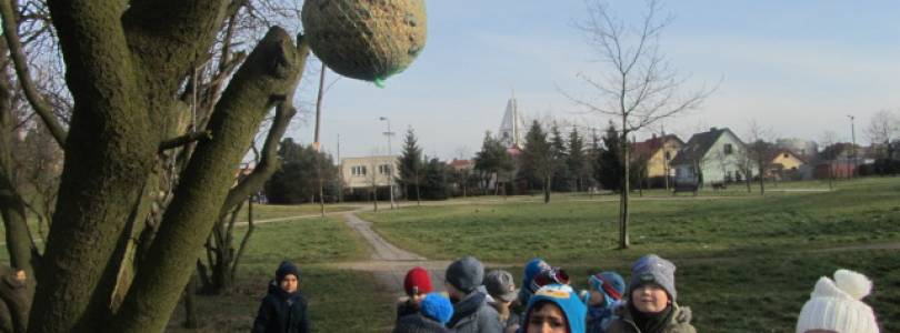 Zdjęcie główne aktualności Dokarmiamy ptaki