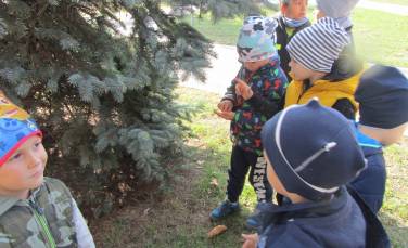 Zdjęcie aktualności Dzień Drzewa - Biedroneczki