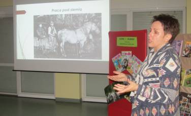 Zdjęcie aktualności Konie, kucyki i rumaki