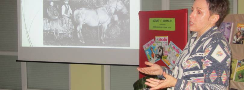 Zdjęcie główne aktualności Konie, kucyki i rumaki
