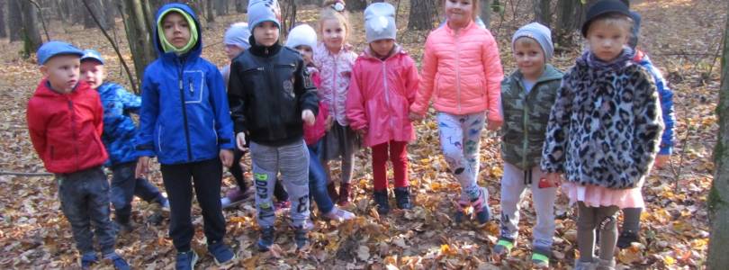 Zdjęcie główne aktualności Co kryje las?