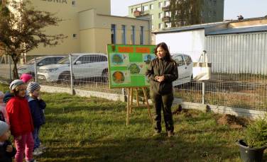 Zdjęcie aktualności Dnia 10października obchodzimy Światowy Dzień Drzewa.