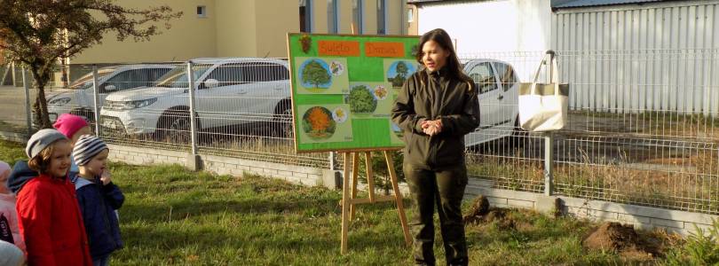 Zdjęcie główne aktualności Dnia 10października obchodzimy Światowy Dzień Drzewa.