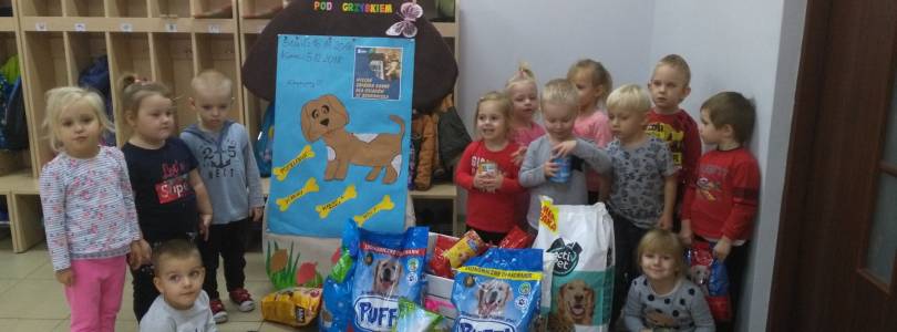 Zdjęcie główne aktualności Dorośli i Dzieciaki, pomóżcie nakarmić psiaki i kociaki :)