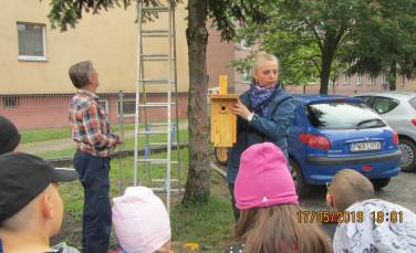 Zdjęcie aktualności Domki dla ptaków