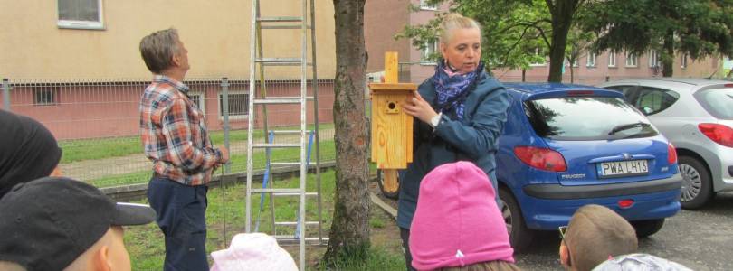 Zdjęcie główne aktualności Domki dla ptaków