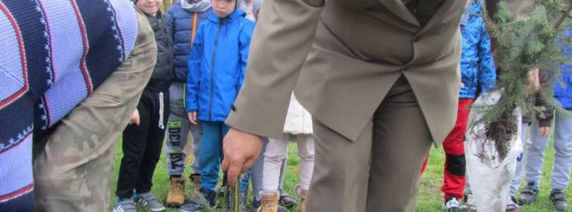 Zdjęcie główne aktualności ,,Dzień Drzewa''