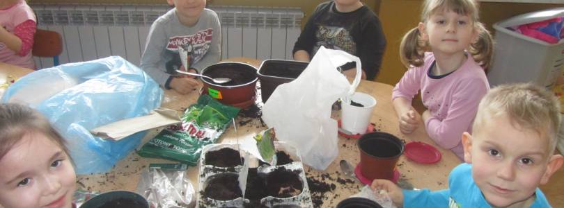 Zdjęcie główne aktualności Zakładamy ogródek