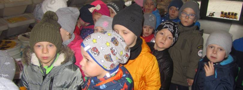 Zdjęcie główne aktualności Kubusie w sklepie zoologicznym ,,Pluto''