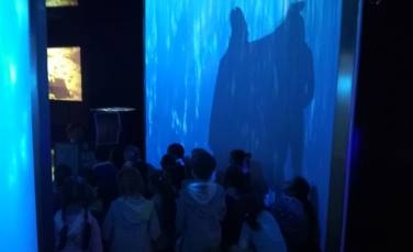 Zdjęcie aktualności Wycieczka do Poznania