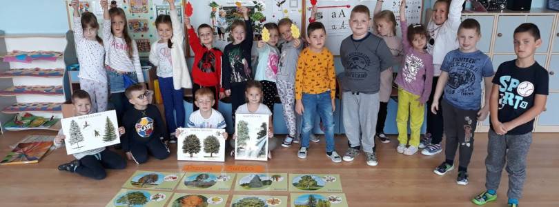 Zdjęcie główne aktualności Dzień Drzewa