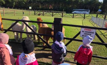 Zdjęcie aktualności Wycieczka do Alpakolandu 