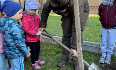 Zdjęcie aktualności Światowy Dzień Drzewa