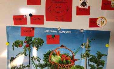 Zdjęcie aktualności Robimy pizzę