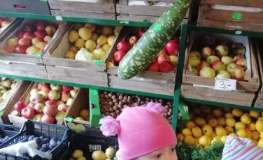 Zdjęcie aktualności Z wizytą w warzywniaku