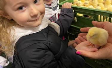 Zdjęcie aktualności Wycieczka do wylęgarni drobiu Ab Ovo