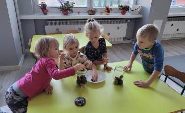 Zdjęcie aktualności ,,Pszczółki robią zaprawy''