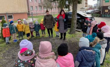 Zdjęcie aktualności Wiosenne kwiaty