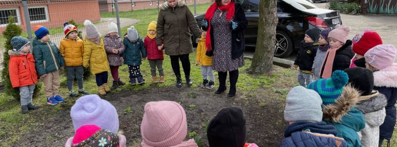 Zdjęcie główne aktualności Wiosenne kwiaty