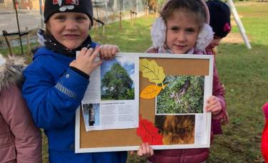 Zdjęcie aktualności Święto Drzewa