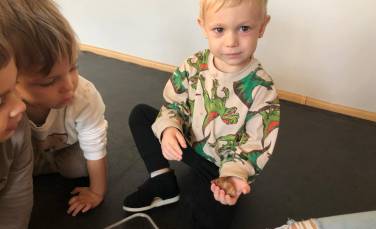 Zdjęcie aktualności Ślimak Afrykański- odwiedziny ,,niezwykłego