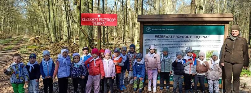 Zdjęcie główne aktualności Rezerwat Przyrody Dębina oddział II