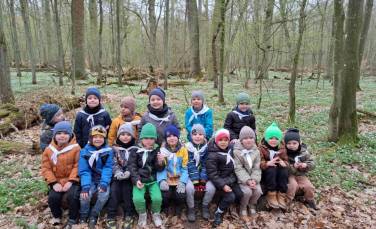 Zdjęcie aktualności Rezerwat Dębina oddział IV