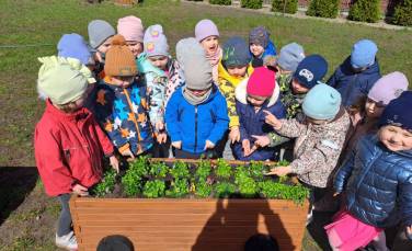 Zdjęcie aktualności Ogródek i sadzenie kwiatów oddział III