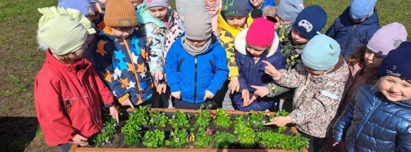 Zdjęcie główne aktualności Ogródek i sadzenie kwiatów oddział III