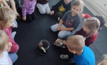 Zdjęcie aktualności Zajęcia dotyczące opieki nad zwierzętami- Pracowite Pszczółki