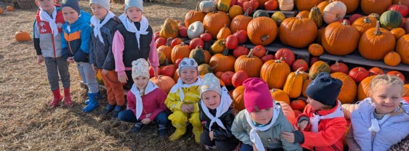 Zdjęcie główne aktualności Wycieczka do Runówka - farmy dyniowej