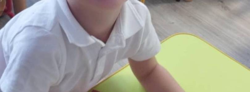 Zdjęcie główne aktualności Smaki lata- Pracowite Pszczółki