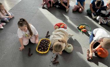 Zdjęcie aktualności Zajęcia matematyczne- Mali Przyrodnicy 