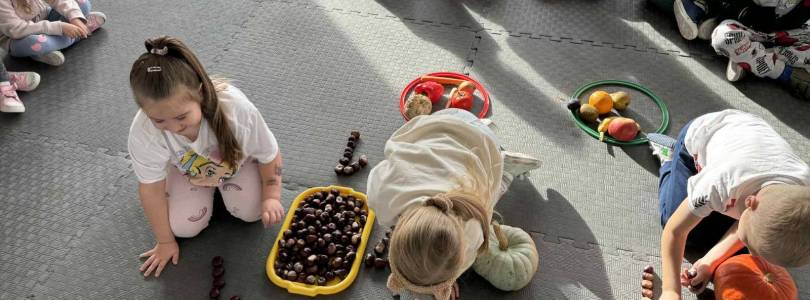 Zdjęcie główne aktualności Zajęcia matematyczne- Mali Przyrodnicy 