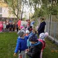 Zdjęcie galerii
