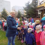 Zdjęcie galerii