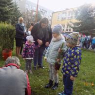 Zdjęcie galerii
