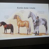 Zdjęcie galerii