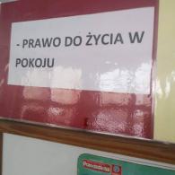 Zdjęcie galerii