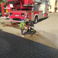 Zdjęcie galerii