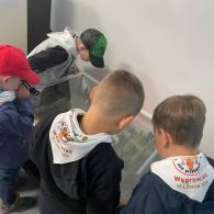 Zdjęcie galerii